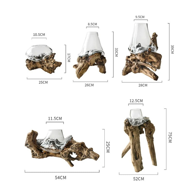 Glass Vase Dead Wood Rack Bonsai